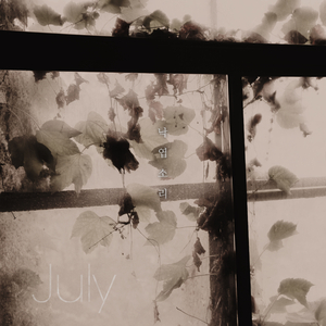 日本老熟女日BBBW
